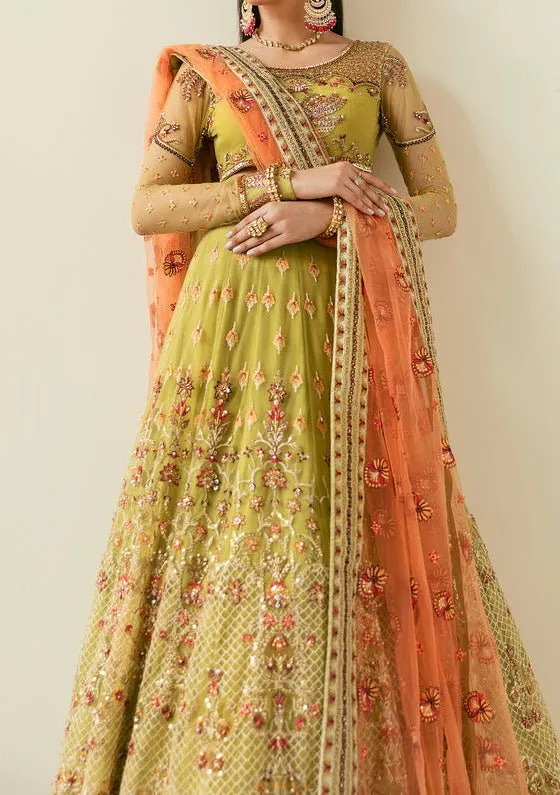 Akbar Aslam Makira Pakistani Net Lehenga Choli