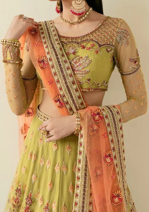 Akbar Aslam Makira Pakistani Net Lehenga Choli