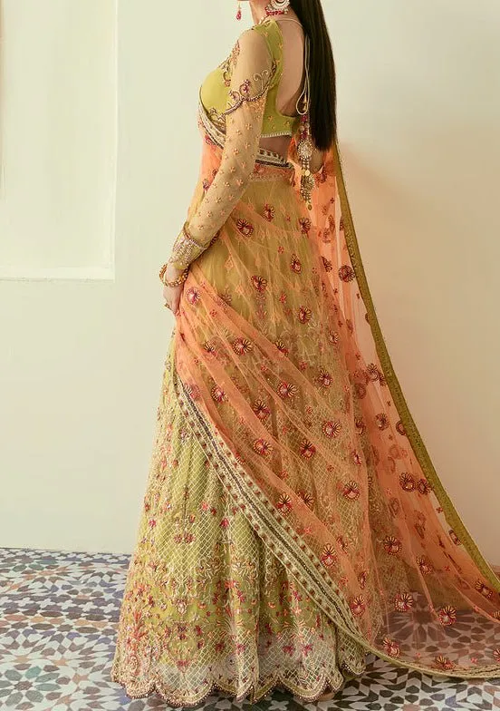 Akbar Aslam Makira Pakistani Net Lehenga Choli