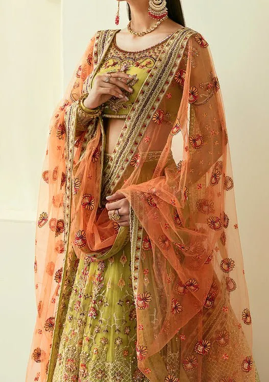 Akbar Aslam Makira Pakistani Net Lehenga Choli