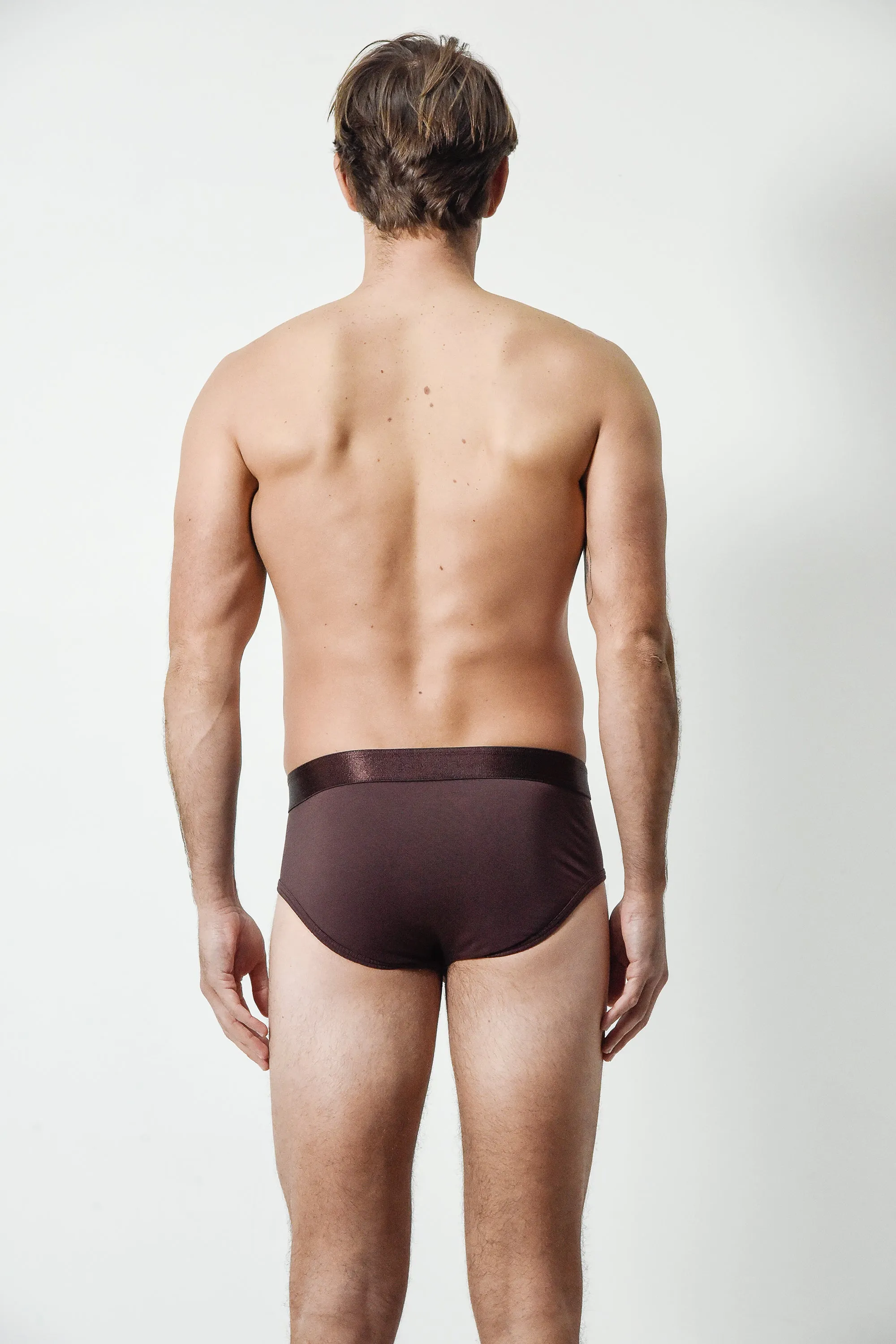 Maroon Brief