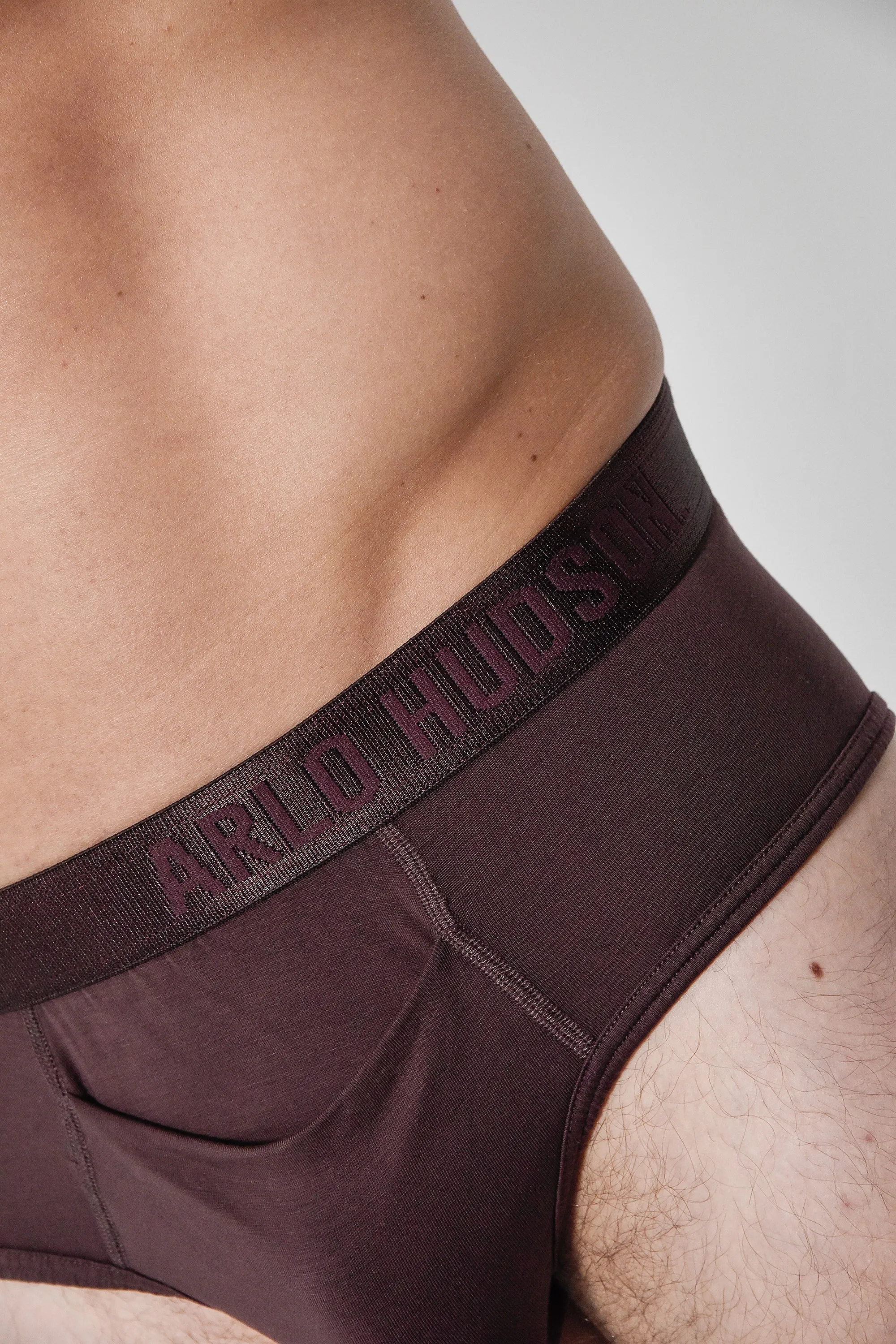 Maroon Brief