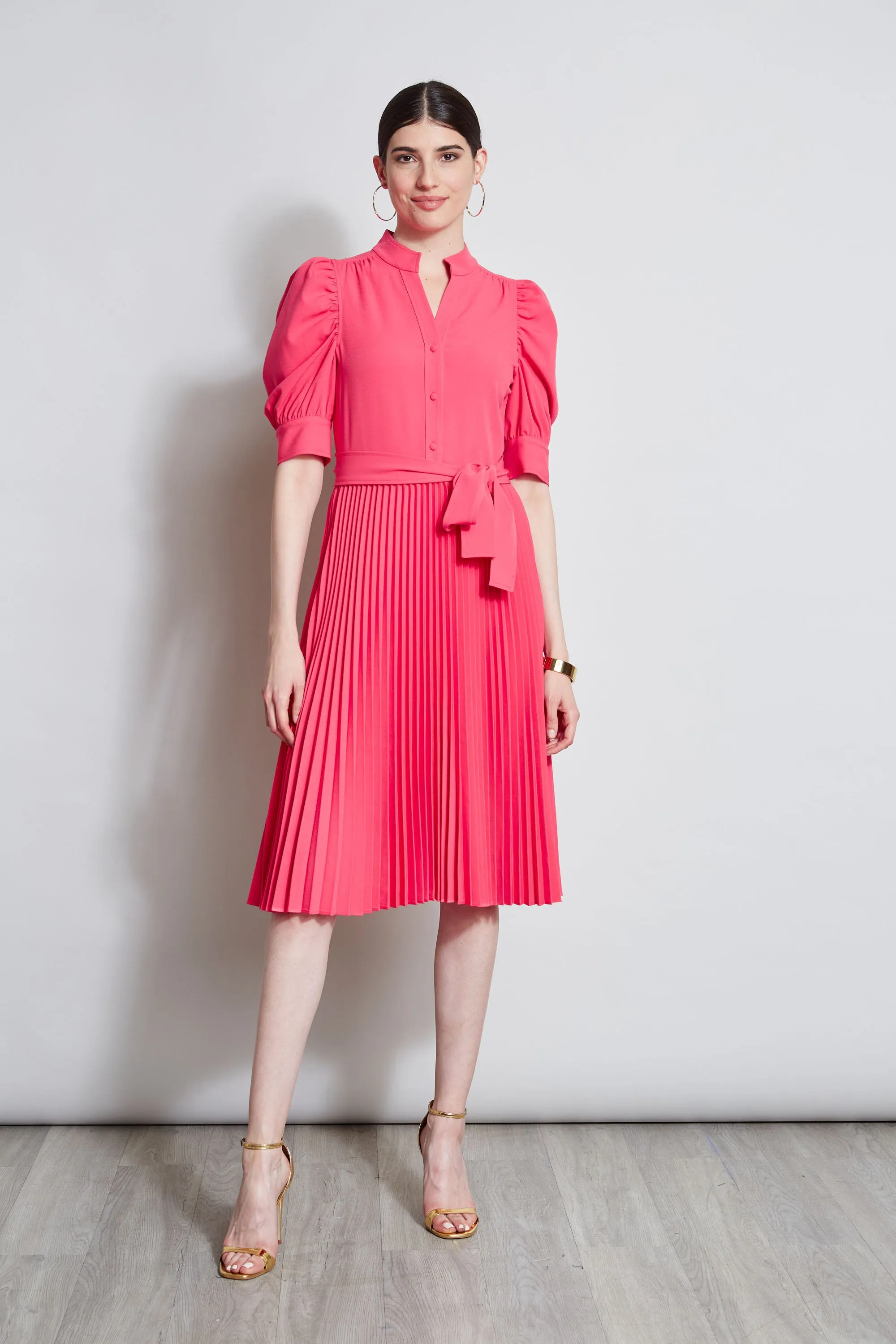 Pleated Ruched Sleeve Dress